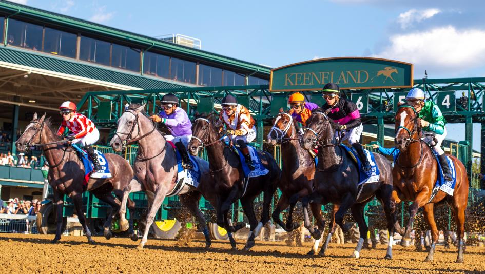 Trifecta Betting Strategy for the 2026 Alcibiades Stakes